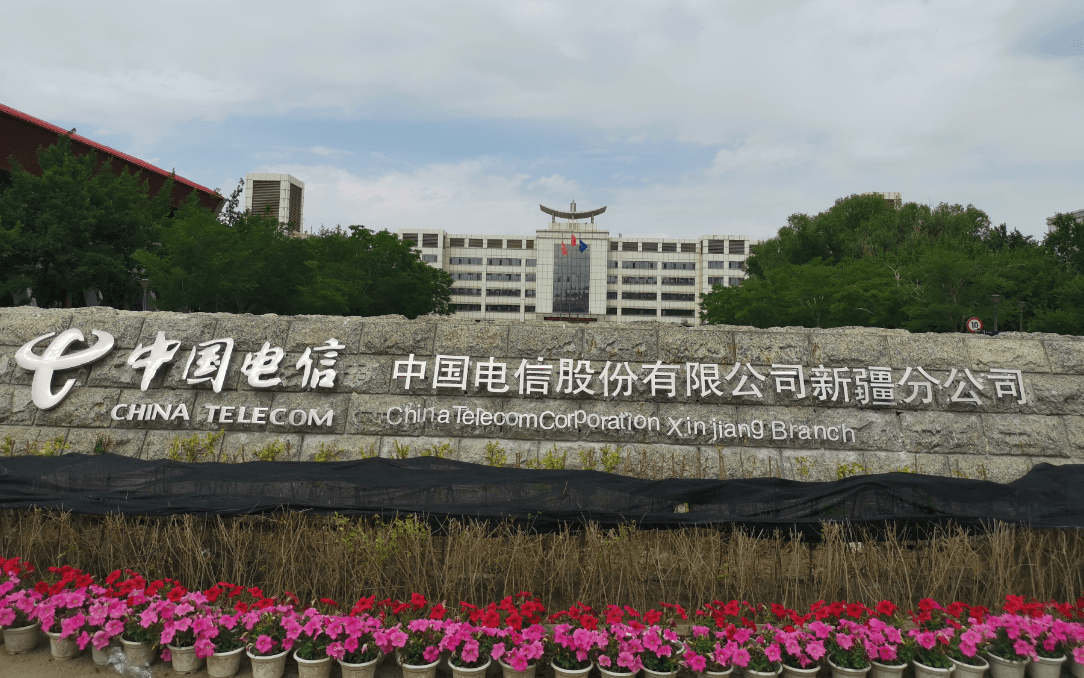 新疆电信考试客户端电信卡为什么很少人用-第1张图片-太平洋在线下载