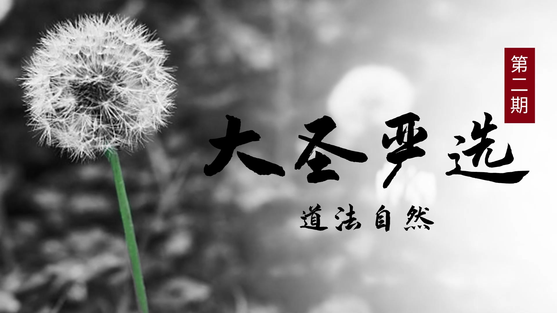 大圣严选苹果版驴友打卡大圣之眼-第1张图片-太平洋在线下载