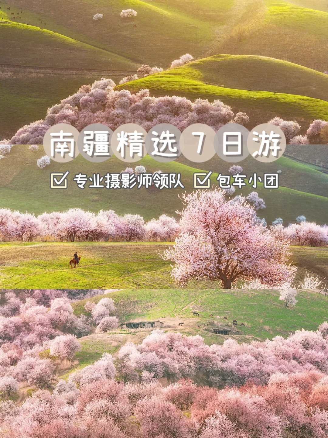 开团领队版苹果版下载进圈领队版苹果xr怎么下载-第2张图片-太平洋在线下载